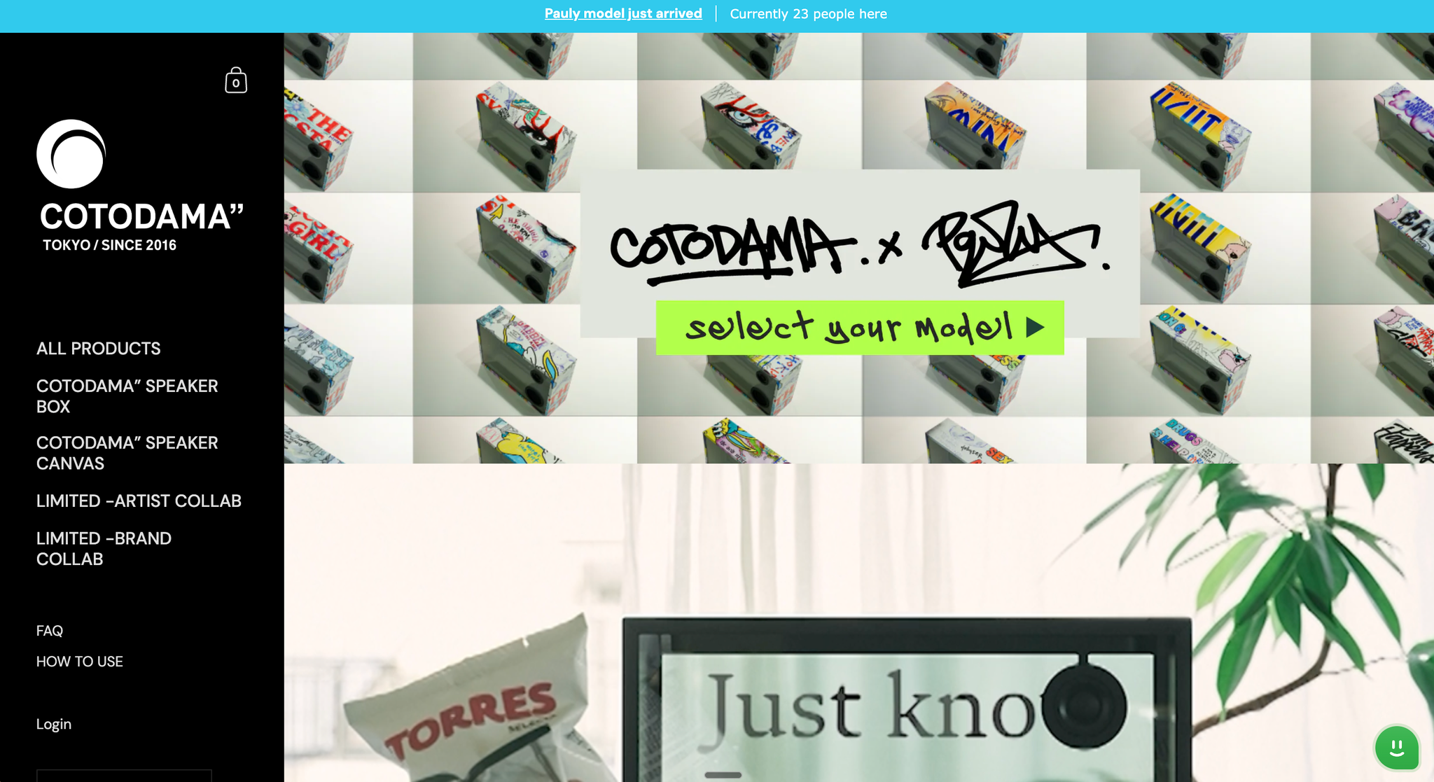 Angle chat widget on the COTODAMA storefront